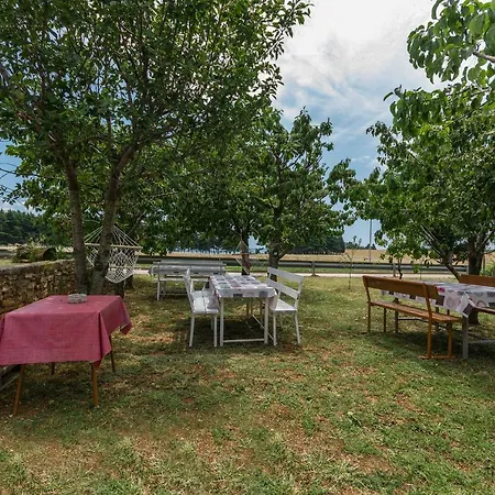 Mijat * Novigrad Istria