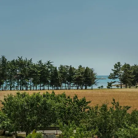 Apartament Mijat