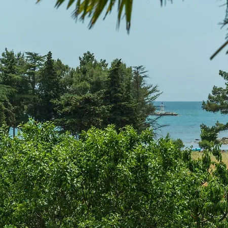 Mijat * Novigrad Istria