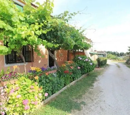 Apartmán Mijat *