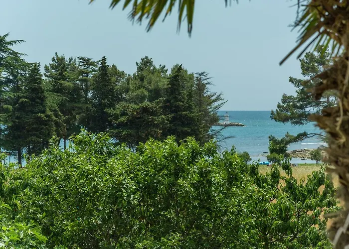 Mijat * Novigrad Istria