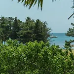 Mijat * Novigrad Istria